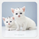 Recherche de anticipation autocollants Animal