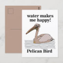 Recherche de pélicans cartes postales Plage