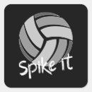 Recherche de beach volleyball autocollants Volley ball intérieur