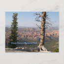 Recherche de bryce cartes postales Paysage