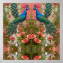 Recherche de corail posters Jolie