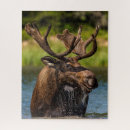Recherche de moose puzzles Faune