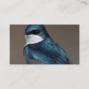 Recherche de hirondelles cartes visite Avale