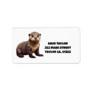 Recherche de image de loutre Pour tous