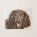 Recherche de cocker puzzles Chien