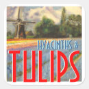 Recherche de hyacinthe autocollants Nature