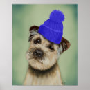 Recherche de secousse posters Animaux