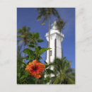 Recherche de polynesie cartes postales Nature