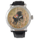 Recherche de mâle montres Superstock