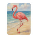 Recherche de flamants magnets Vacances