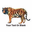 Recherche de tigre photo sculptures Nature