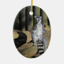Recherche de lemurien maison deco Animaux