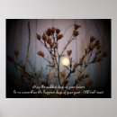 Recherche de buisson photographie Jour