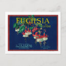 Recherche de verne cartes postales Étiquettes