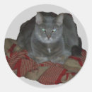 Recherche de chat grincheux autocollants Gris