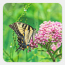 Recherche de entomologie autocollants Faune