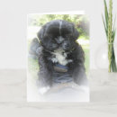 Recherche de shih vœux cartes Nature
