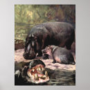 Recherche de hippopotame art Zoo