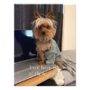 Recherche de yorkshire terrier posters Drôle
