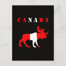 Recherche de canada drôle cartes postales Orignal