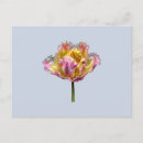 Recherche de iridescent cartes postales Holographique