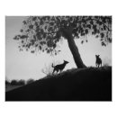 Recherche de chien noir et blanc posters Toute personne