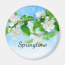 Recherche de fleur de pomme magnets Printemps