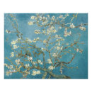 Recherche de peintures de fleur posters Couleurs vives
