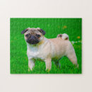 Recherche de chiens de carlin puzzles Pour animaux