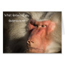 Recherche de babouin Singe