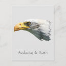 Recherche de aigle chauve cartes postales Faune