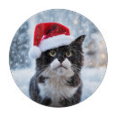Recherche de chat noir et blanc planches à découper Mignon