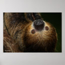 Recherche de le doigt posters Animaux