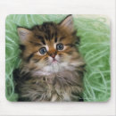 Recherche de perse tapis souris Animal