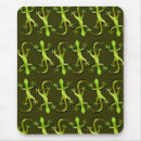 Recherche de geckos tapis souris Nature