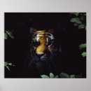 Recherche de corps ver art Animal