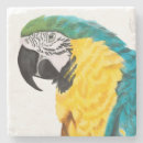 Recherche de perroquet dessous de verres Animal