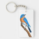 Recherche de faune rectangulaires porteclés Oiseaux