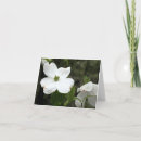 Recherche de fleurs sensibles vœux cartes Photographie