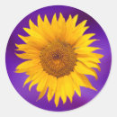 Recherche de sunflower bridal shower autocollants Élégant