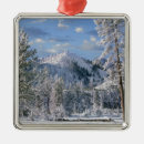 Recherche de yellowstone ornements Neige