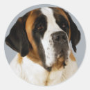 Recherche de bernards autocollants Commune