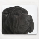 Recherche de shar pei tapis souris Chien