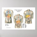 Recherche de topographie posters Massage