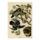 Recherche de sponsa art Oiseau