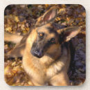 Recherche de gsd dessous de verres Pour tous