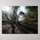 Recherche de païen posters Bois