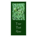 Recherche de shamrock vert Clou