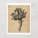 Recherche de texture de papier cartes postales Vintage