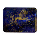 Recherche de lion magnets Antique